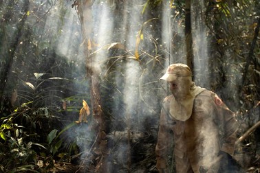 Pădurea amazoniană e devastată de incendii | Foto: EPA