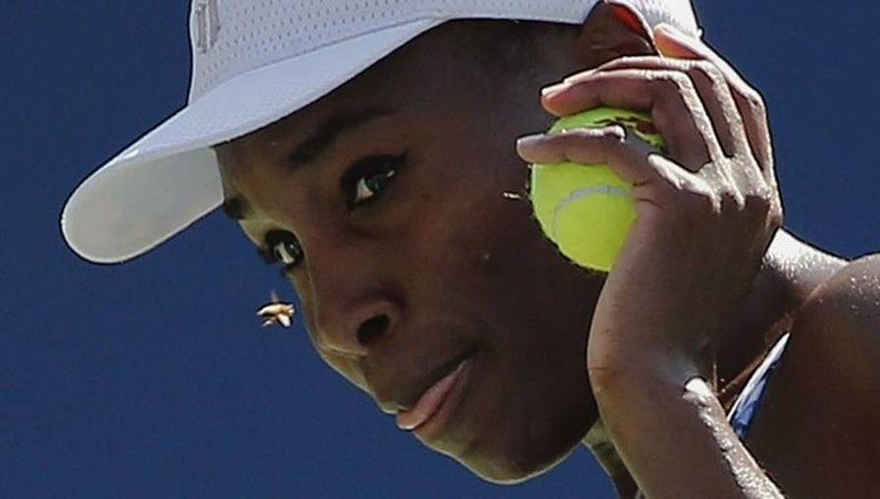 Ce spune poliția din Florida despre accidentul rutier comis de Venus Williams