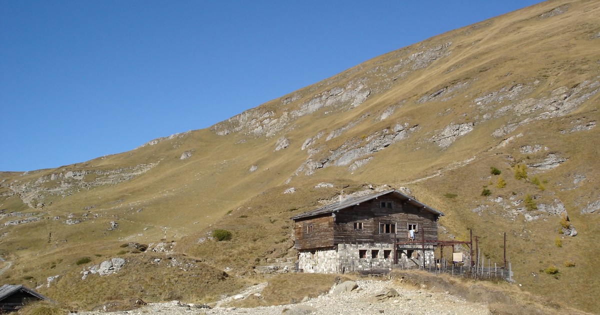 Arhiva foto
