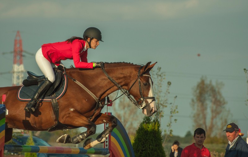 Clubul Equestria organizează, în perioada 17-19 octombrie, Finalele Campionatului Naţional de Sărituri peste Obstacole