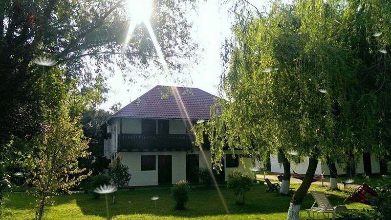 Arhiva foto