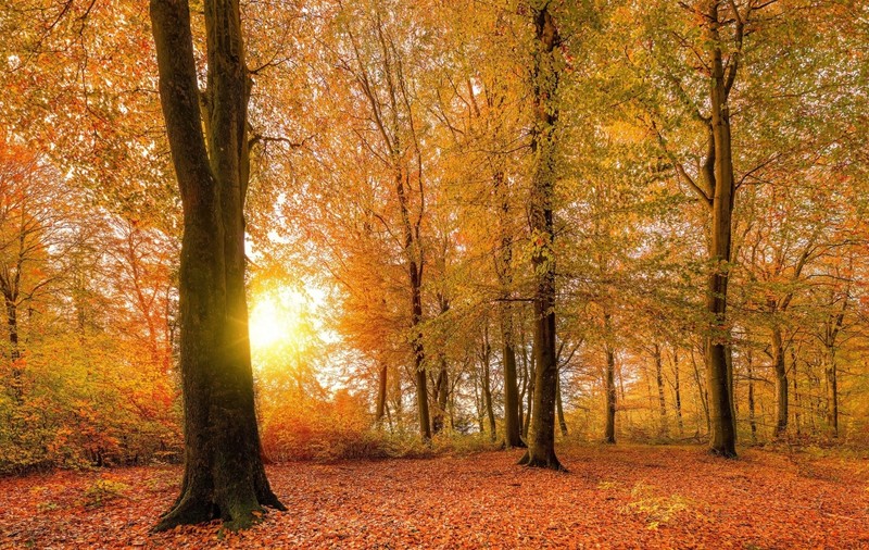 Prognoza meteo pentru următoarele patru săptămâni. Cum va fi vremea în luna octombrie