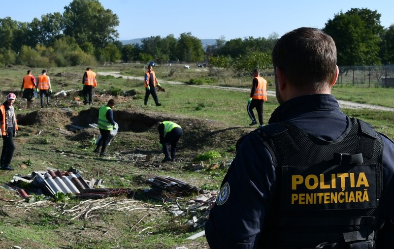 Cât costă să angajezi deținuți cu ora pentru treburile casnice: spart lemne, săpat sau curățat pomii