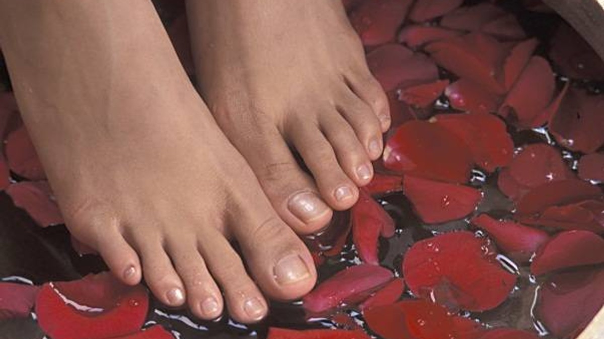Arhiva foto