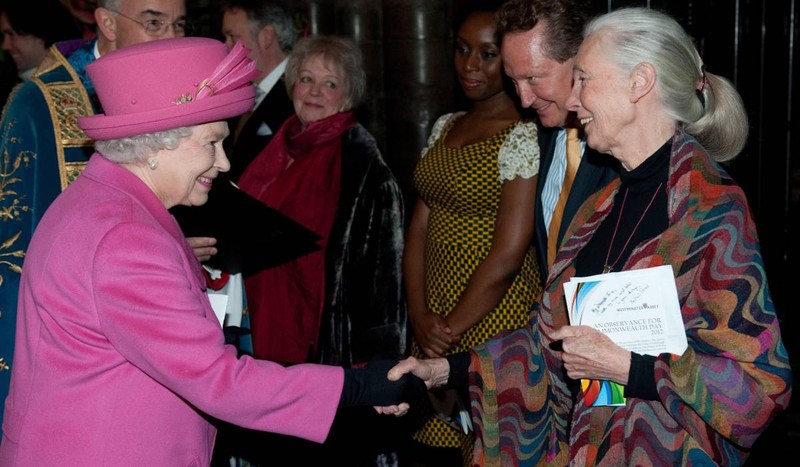 Dame Jane Goodall DBE, pionieră în studiul cimpanzeilor și voce globală pentru protecția naturii, a fost surprinsă în martie 2012 la Westminster Abbey, alături de Regina Elisabeta a Marii Britanii. Cercetătoarea a inspirat generații întregi de femei și oameni de știință, arătând lumii că empatia și știința pot merge mână în mână. Foto: Profimedia Images