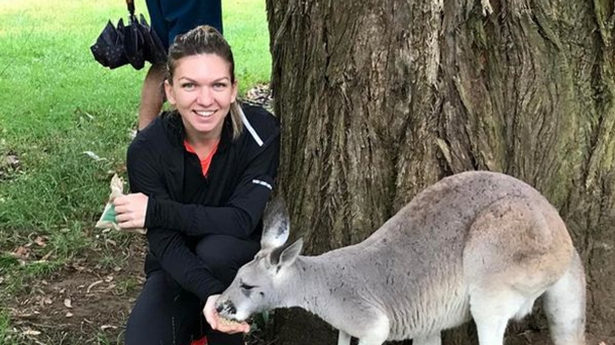 Simona Halep a fost la Zoo