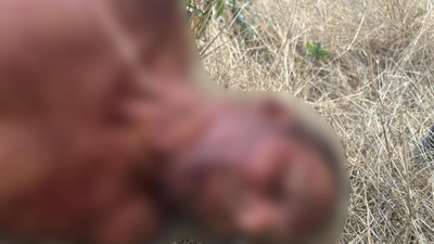 Crimă în Mehedinți