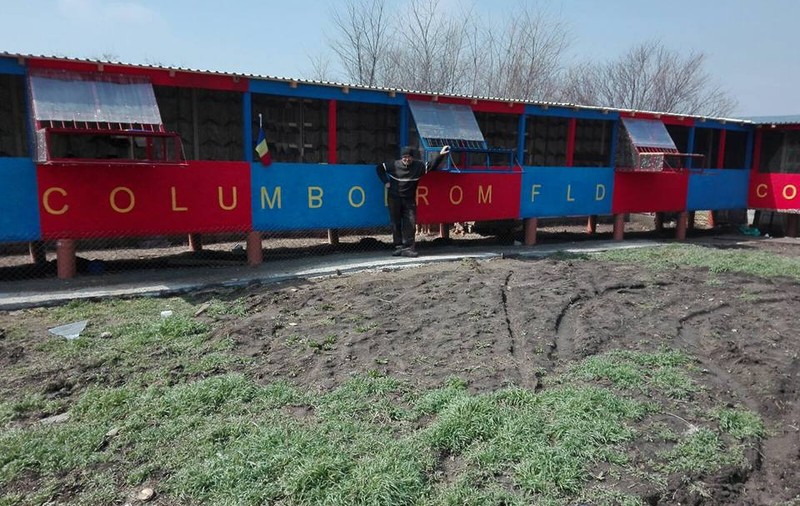 Florentin Dumitru și-a făcut columbodrom în culorile Stelei. Cât costă înscrierea la concursuri