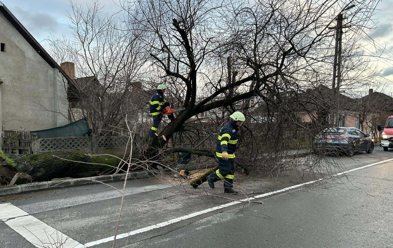 Probleme după vijeliile din țară: copaci căzuți, case inundate și localități fără curent. Au fost emise mesaje Ro Alert