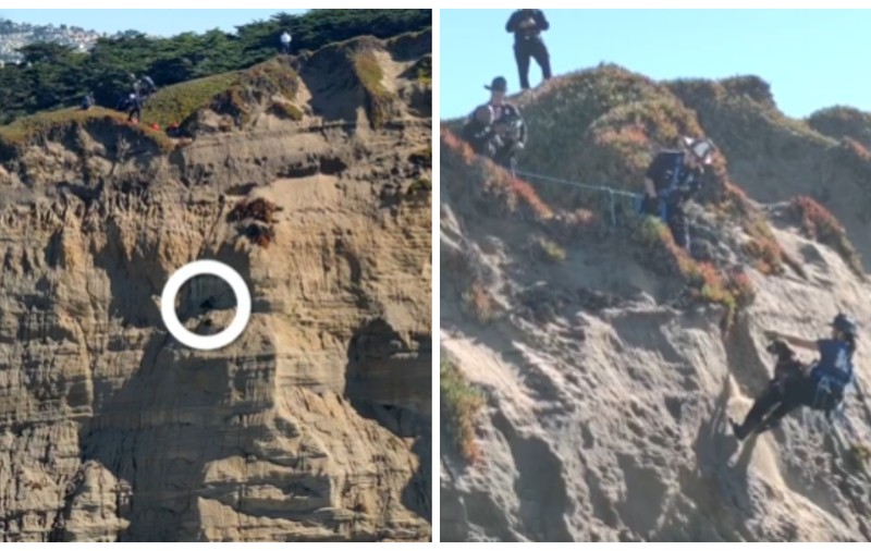 Momentul în care un câine este salvat după ce a căzut de la înălțime și a rămas blocat pe o stâncă abruptă | VIDEO