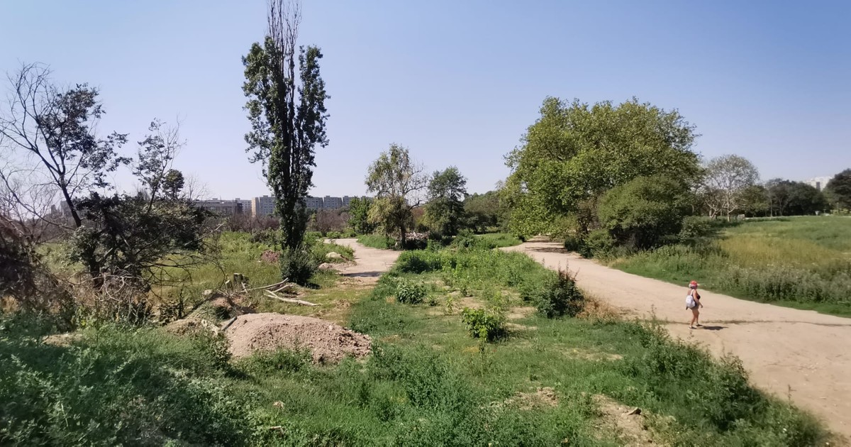 Sector din Parcul IOR care a ajuns în proprietate privită în mandatul fostului primar general al Bucureștiului Adriean Videanu FOTO Ionuț Mureșan
