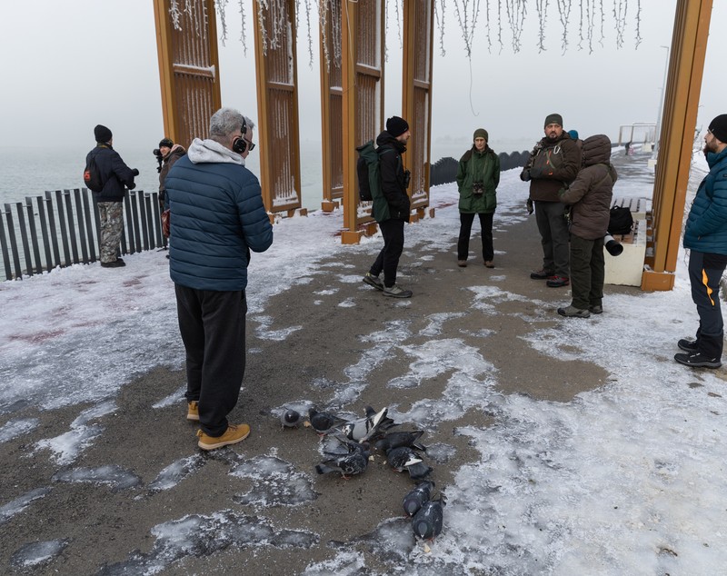 REPORTAJ. Pescuitul este interzis în zona podurilor până în martie, dar pe Dâmbovița, pescarii prind pești la „parașută”: „O capcană mortală pentru păsări”