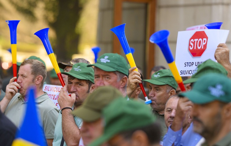 Cine sunt cei opt candidați care vor șefia Romsilva