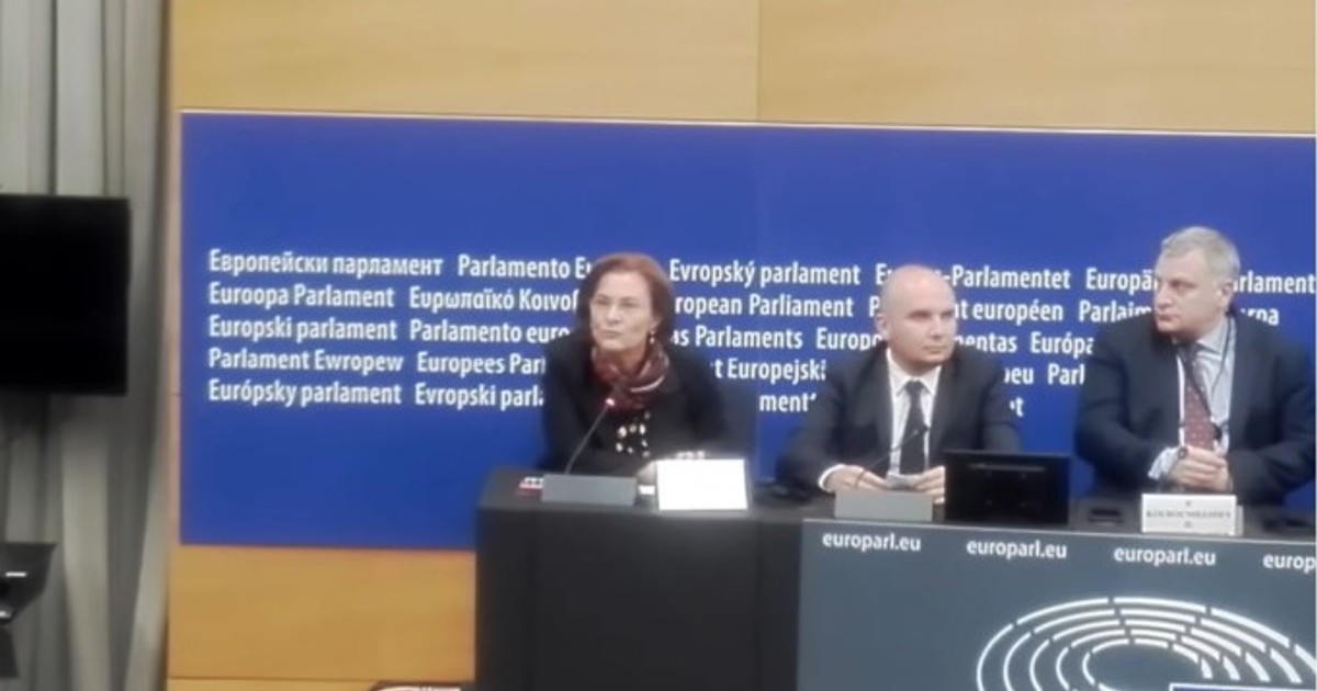 Maria Grapini discurs în limba engleză