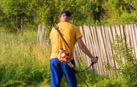 Afacerea care îți poate aduce 800 de euro fără mari bătăi de cap. Nu e nevoie de al doilea job pentru asta