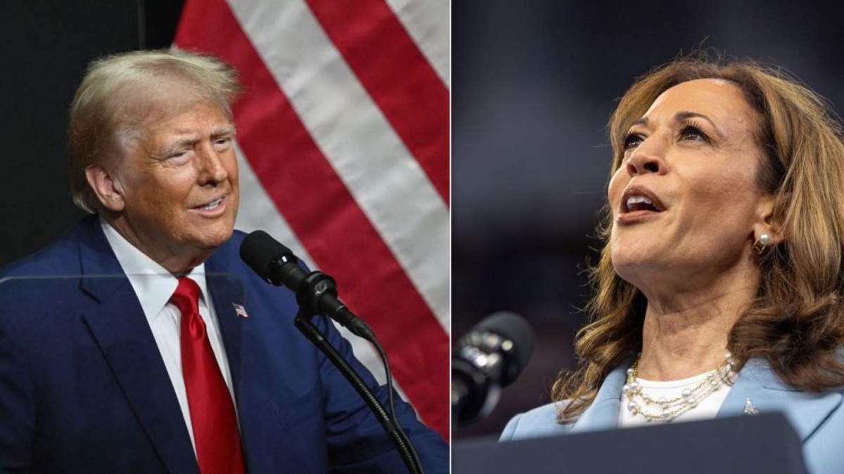 Colaj cu Donald Trump și Kamala Harris Foto: Hepta