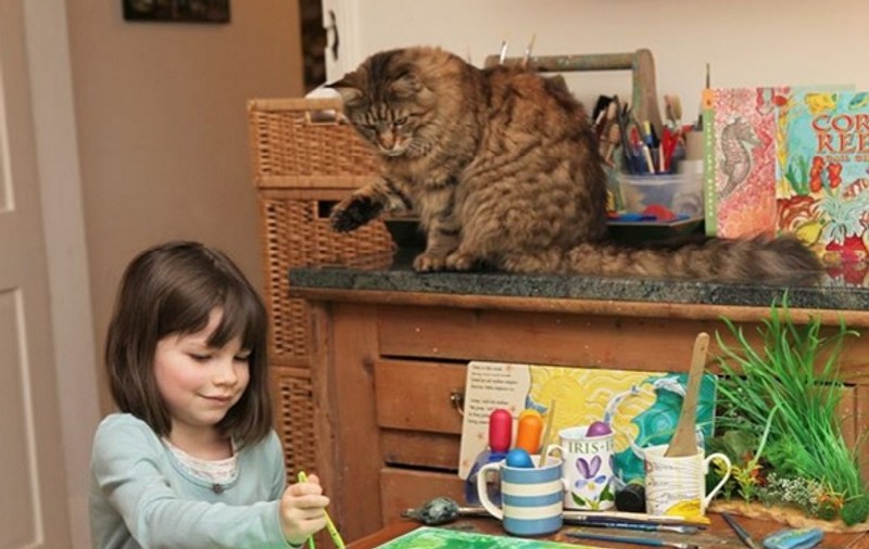 Suferă de autism, dar e un geniu în pictură! Cum s-a schimbat viața micuței Monet după ce părinții i-au luat o pisică! FOTO+VIDEO