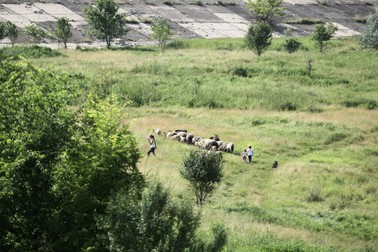 Arhiva foto