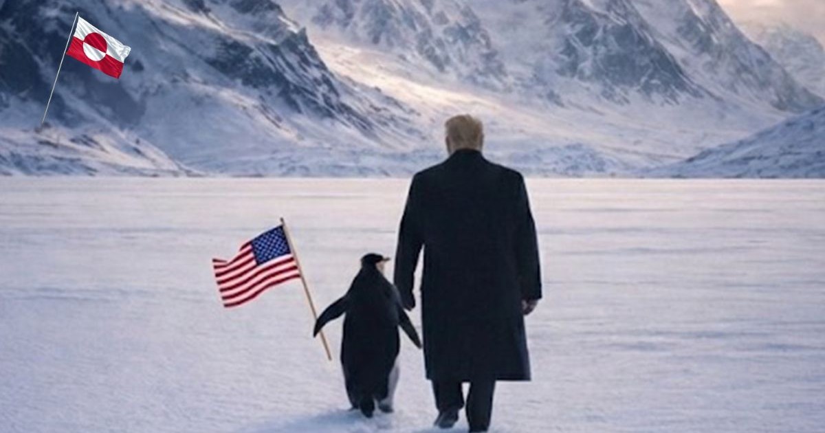 Această imagine generată digital prezintă o vastă câmpie de zăpadă și gheață, unde Donald Trump îmbrăcat într-un palton lung de culoare închisă, este surprins mergând de la spate alături de un pinguin. Pinguinul, aflat în stânga lui ține în aripă o tijă subțire de care este atașat steagul Statelor Unite ale Americii, care flutură spre stânga. În planul îndepărtat, pe o culme muntoasă din partea stângă, este înfipt un al doilea steag, cel al Groenlandei (alb și roșu, cu un cerc divizat în centru).