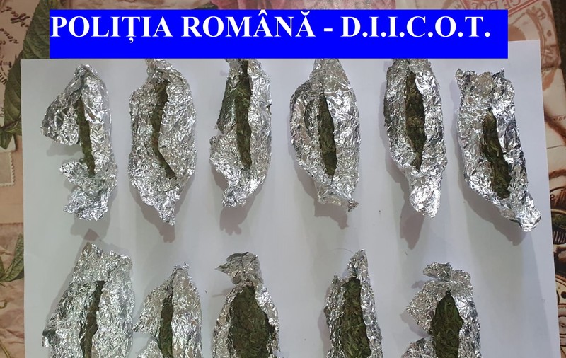 Cultură outdoor de canabis, descoperită de polițiști la Huși. Doi bărbați, tată și fiu, au fost arestați