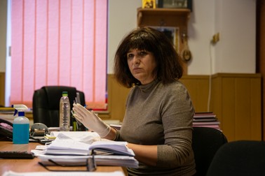Primarul orașului Ștefănești, Ioana Dumitru