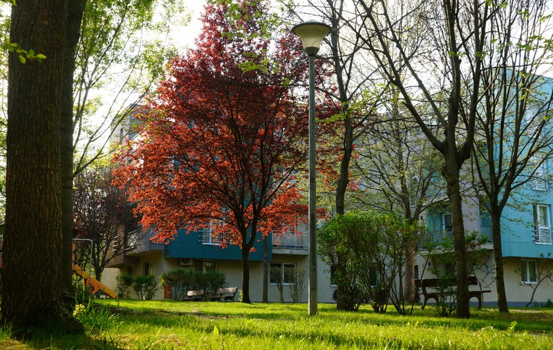 Unde vor fi maxime de 18 grade și cum va fi vremea în toată țara sâmbătă, 14 martie