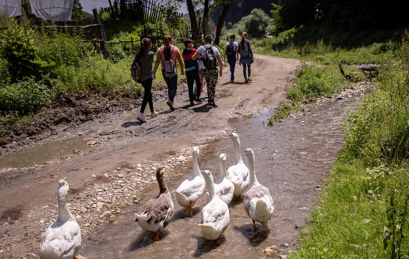 ANALIZĂ. Cele două Românii: un elev de la țară are șanse de două ori mai mici decât unul de la oraș să ia peste 5 la Evaluarea Națională
