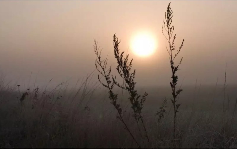 Cum va fi vremea în următoarele patru săptămâni. Meteorologii au emis prognoza meteo