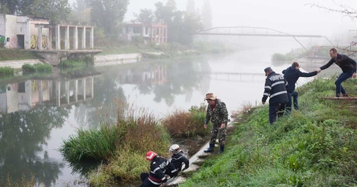 Un cioban a fost descoperit înecat într-o baltă din Timiș