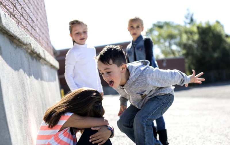 Ministrul educației promite că „fiecare şcoală va avea un grup de acţiune anti-bullying”, la toamnă