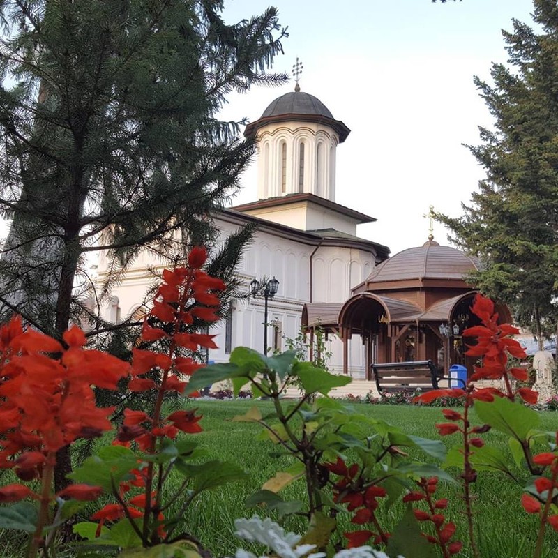 Arhiva foto