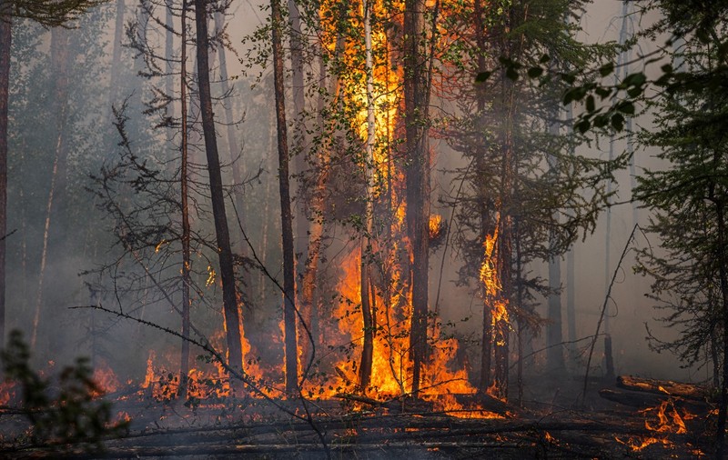 Siberia, afectată de sute de incendii de vegetație. De 3 luni ard păduri din cea mai friguroasă regiune a Rusiei