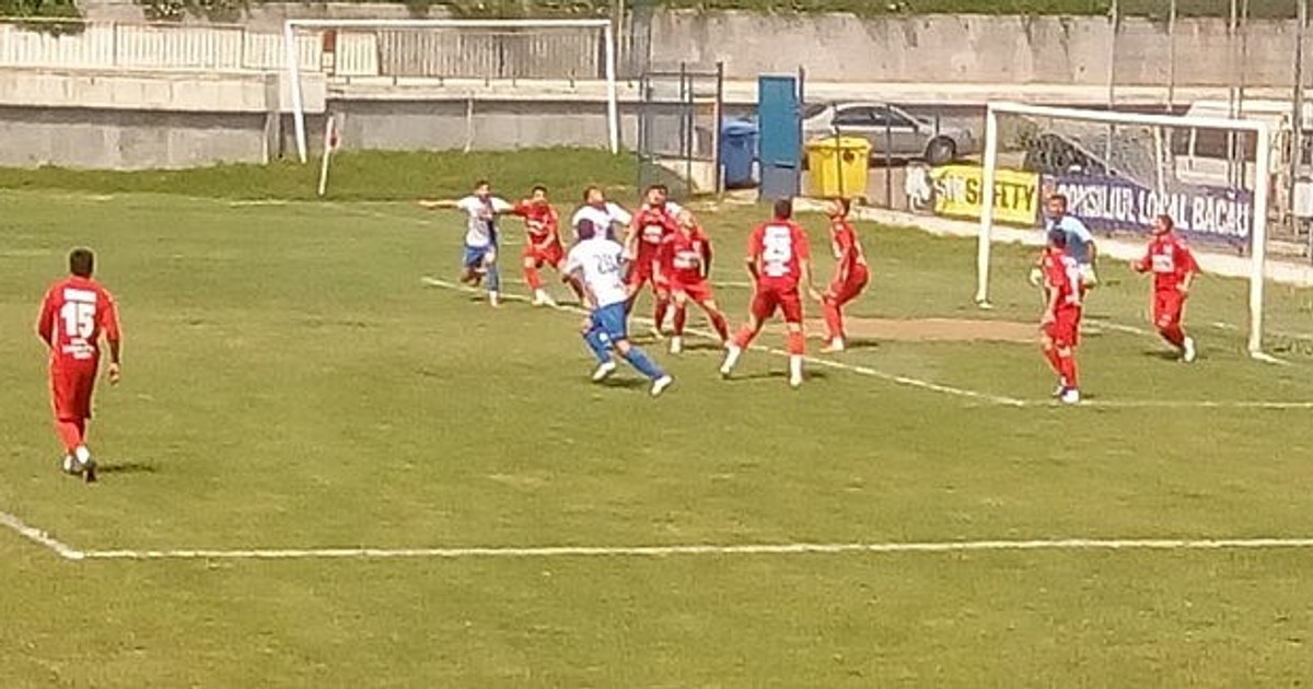 Arhiva foto