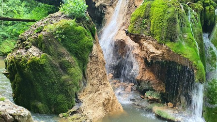 Arhiva foto