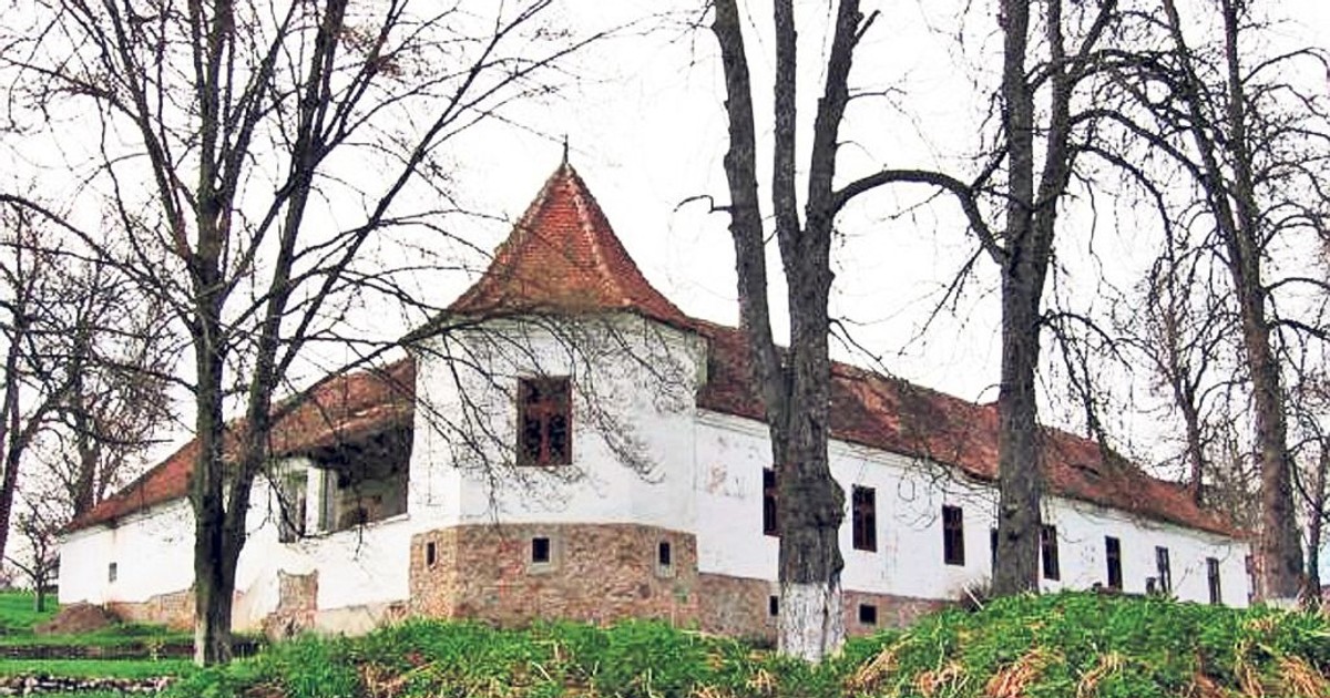 Arhiva foto
