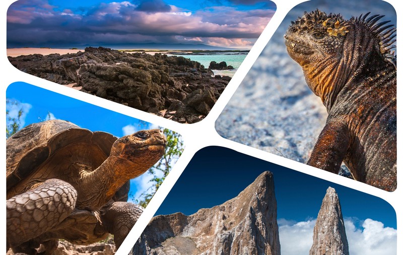 Curiozități despre Insulele Galapagos