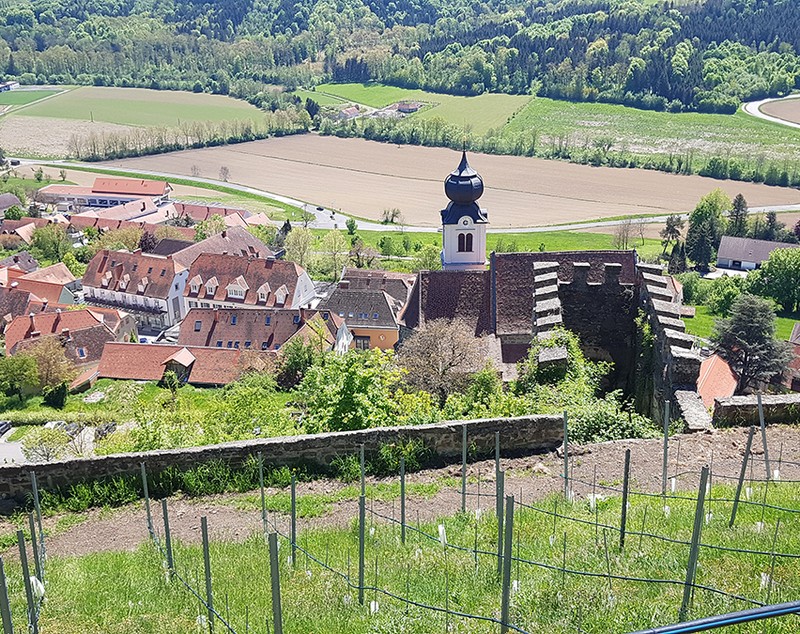 REPORTAJ ÎN AUSTRIA. Poliția păzește castelul prințului din Riegersburg, pentru că „le-am ucis ursul și s-au supărat foarte tare”