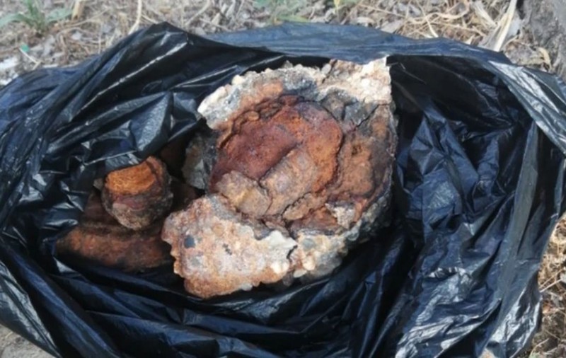 O fetiță a luat o piatră ca suvenir de pe plajă, iar un an mai târziu familia a descoperit ce pericol a adus, de fapt, acasă