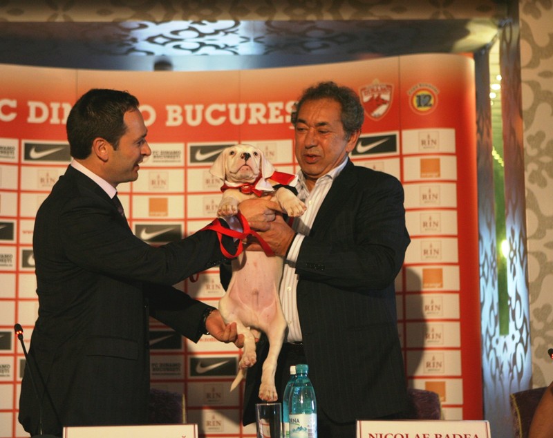 Internele, Elisabeta Lipă și Nicolae Badea vor să-i sufle echipa Dinamo lui Ionuț Negoiță după modelul ”Steaua-CSA”/ EXCLUSIV
