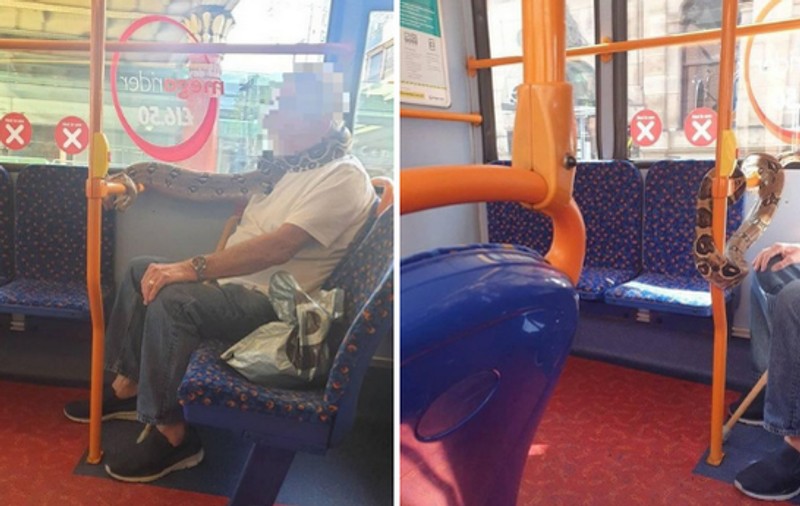 Un britanic s-a urcat în autobuz cu un șarpe viu pe post de mască de protecție. ”Când l-am văzut că mișcă, am țipat”