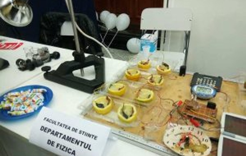 Energie din lămâie și cartofi la Universitatea din Craiova. Ce gadgeturi revoluționare au realizat studenții