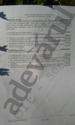 Arhiva foto
