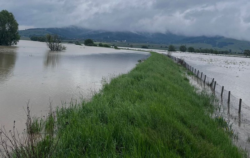 Inundațiile au făcut prăpăd în 16 județe și în București: zeci de curți și locuințe au fost distruse de viituri