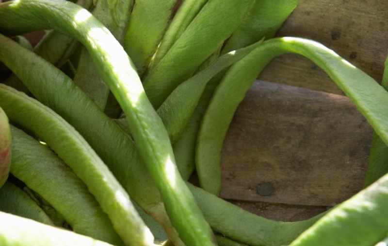 REŢETĂ: Mâncare de fasole verde