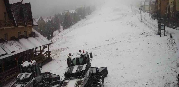 Arhiva foto