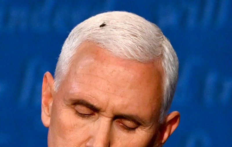 O muscă aterizată pe capul lui Mike Pence, vedeta neașteptată a dezbaterii vicepreședinților SUA