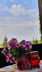 Arhiva foto