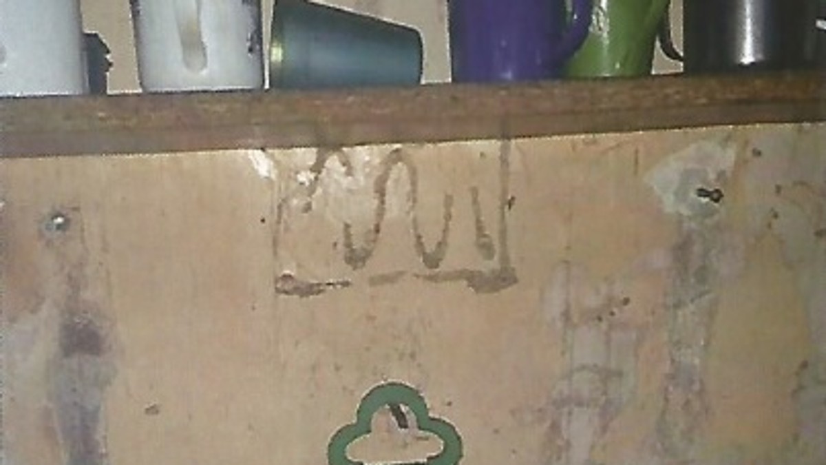Arhiva foto
