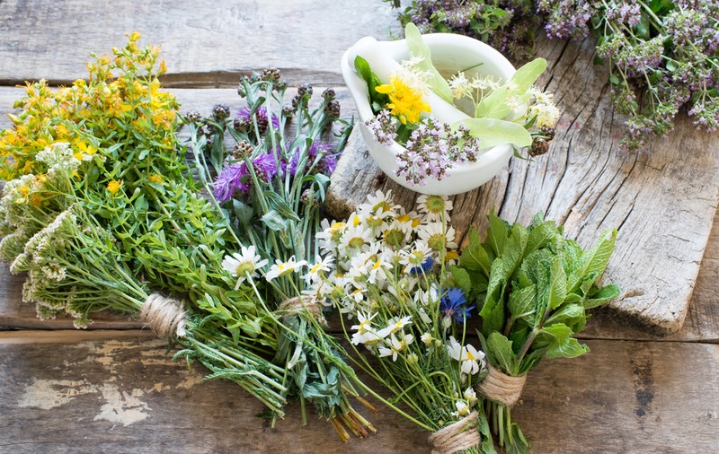Plante medicinale - top 50 de plante miraculoase care se găsesc în România