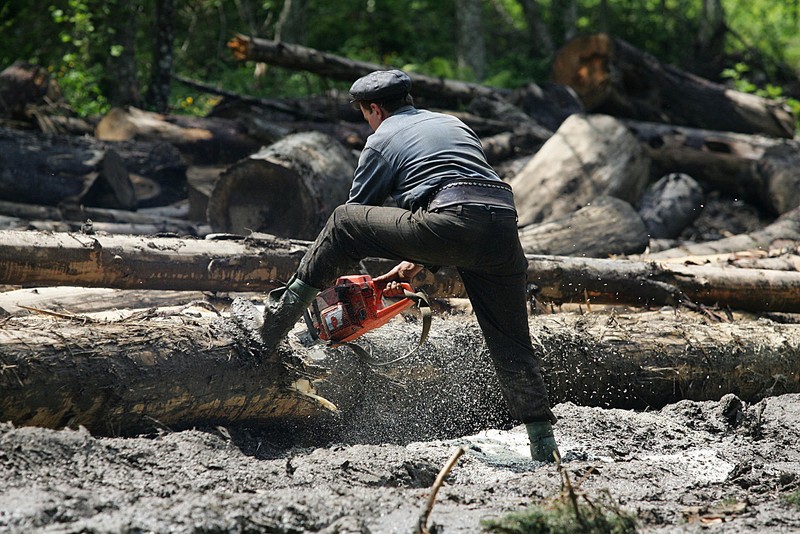 Exploatarea intensivă a pădurilor ar putea produce o piedere de 8-10% din PIB pe cap de locuitor până în 2100, potrivit PNRR | Foto: Hepta